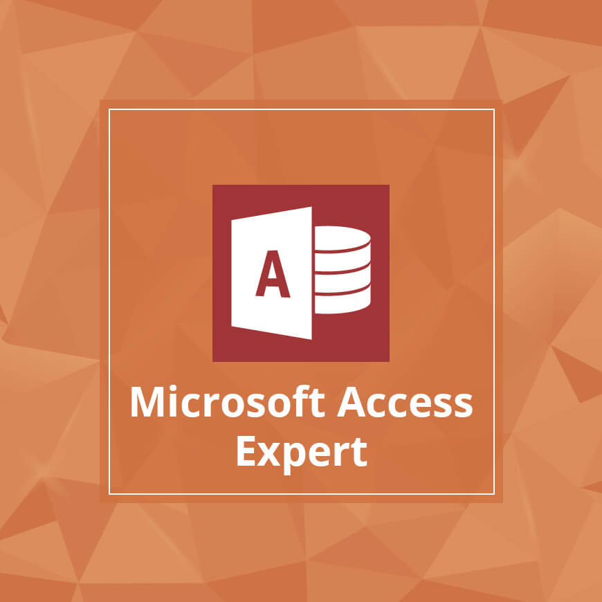 Microsoft Access Expert